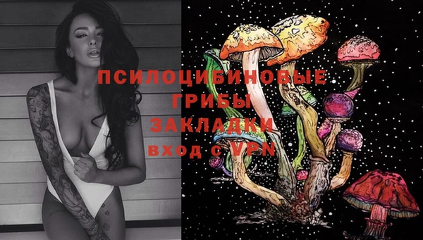 а пвп мука Краснослободск